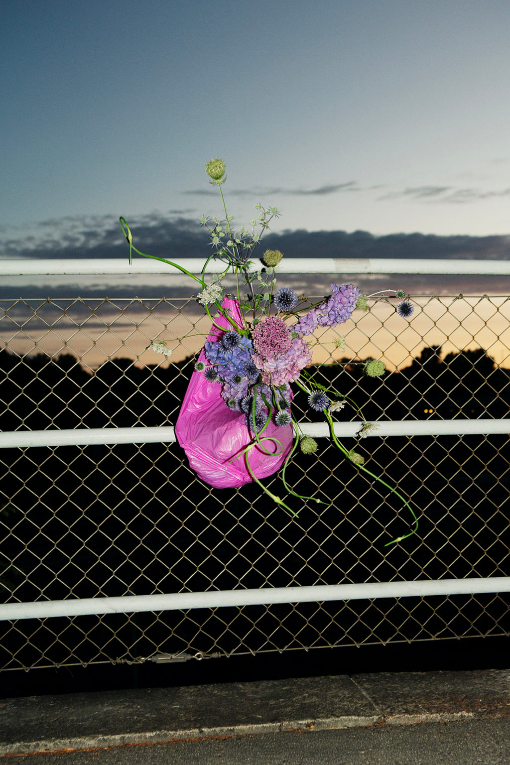 Flower 5