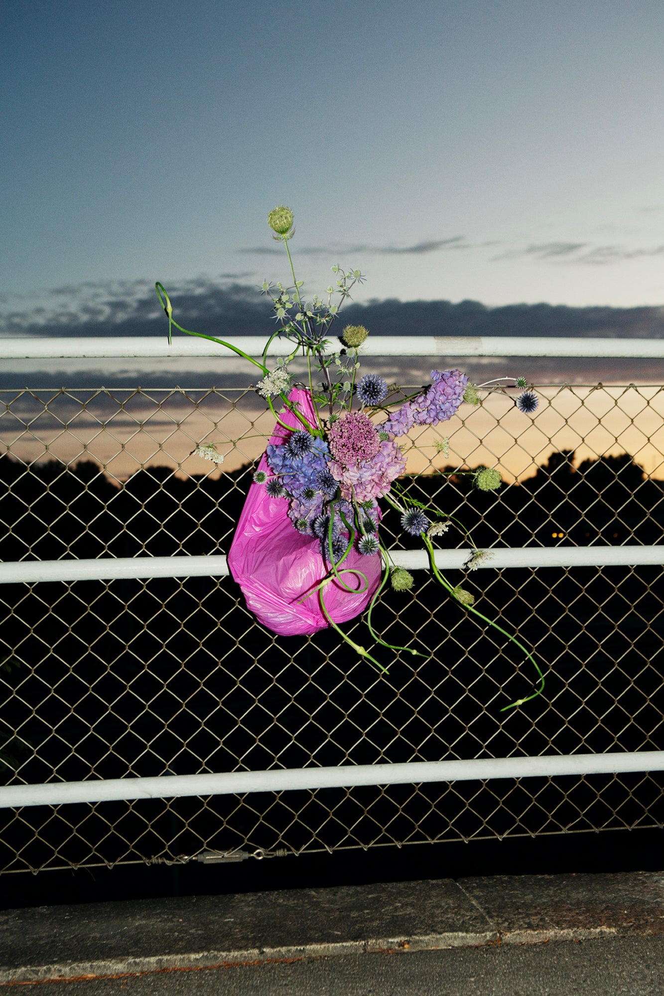 Flower 5