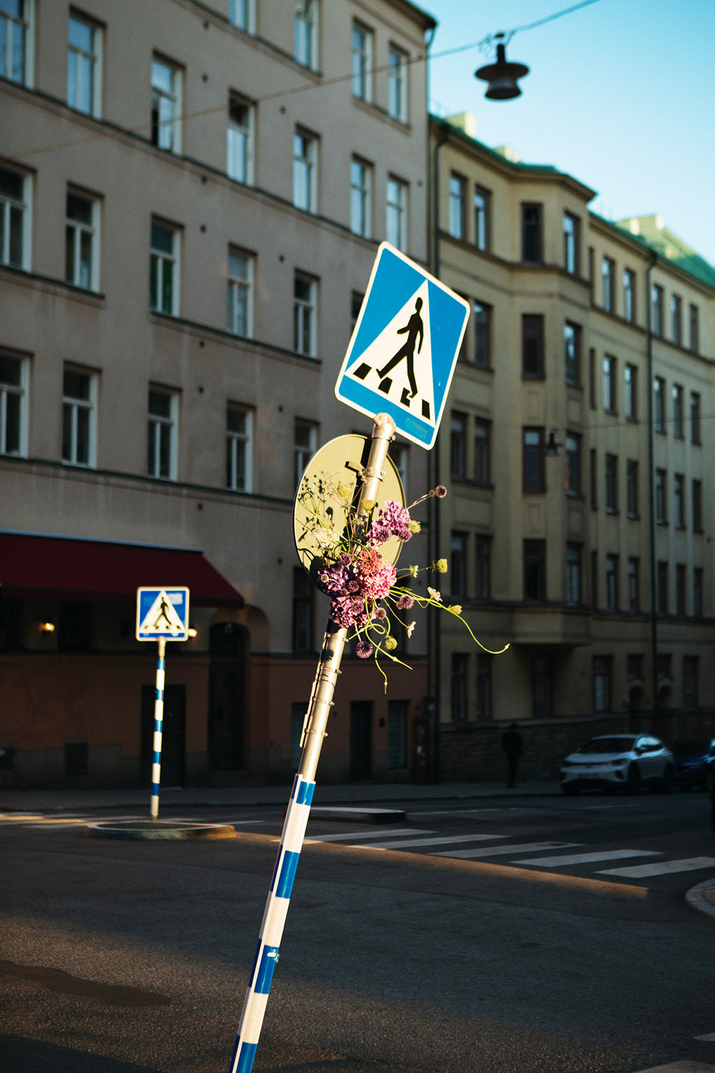 Flower 6
